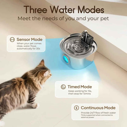 Pet water fountain