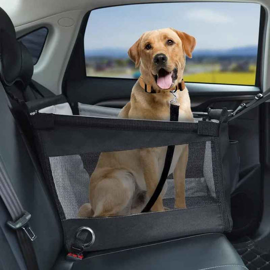 Stable dog carrier with safety mesh protection
